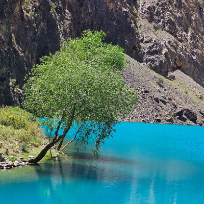 Img